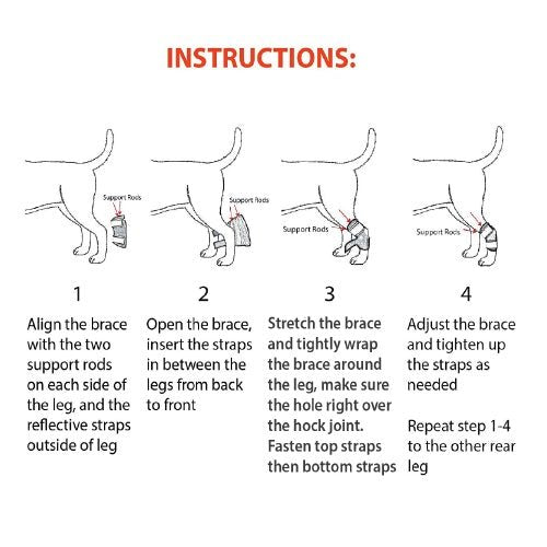 Instructions for using a dog leg brace with illustrations and text on a white background