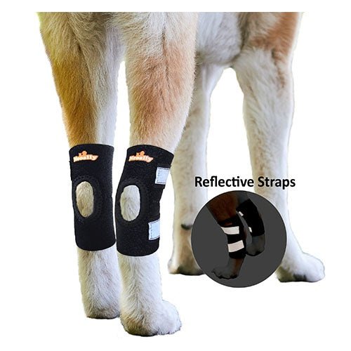 Horse legs wearing black knee wraps with reflective straps on a white background