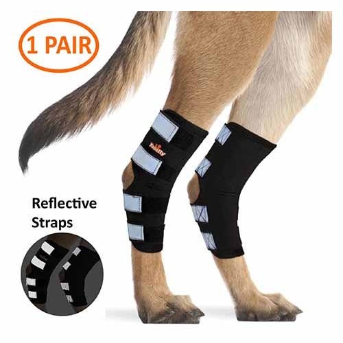 Dog knee brace with reflective straps on a white background