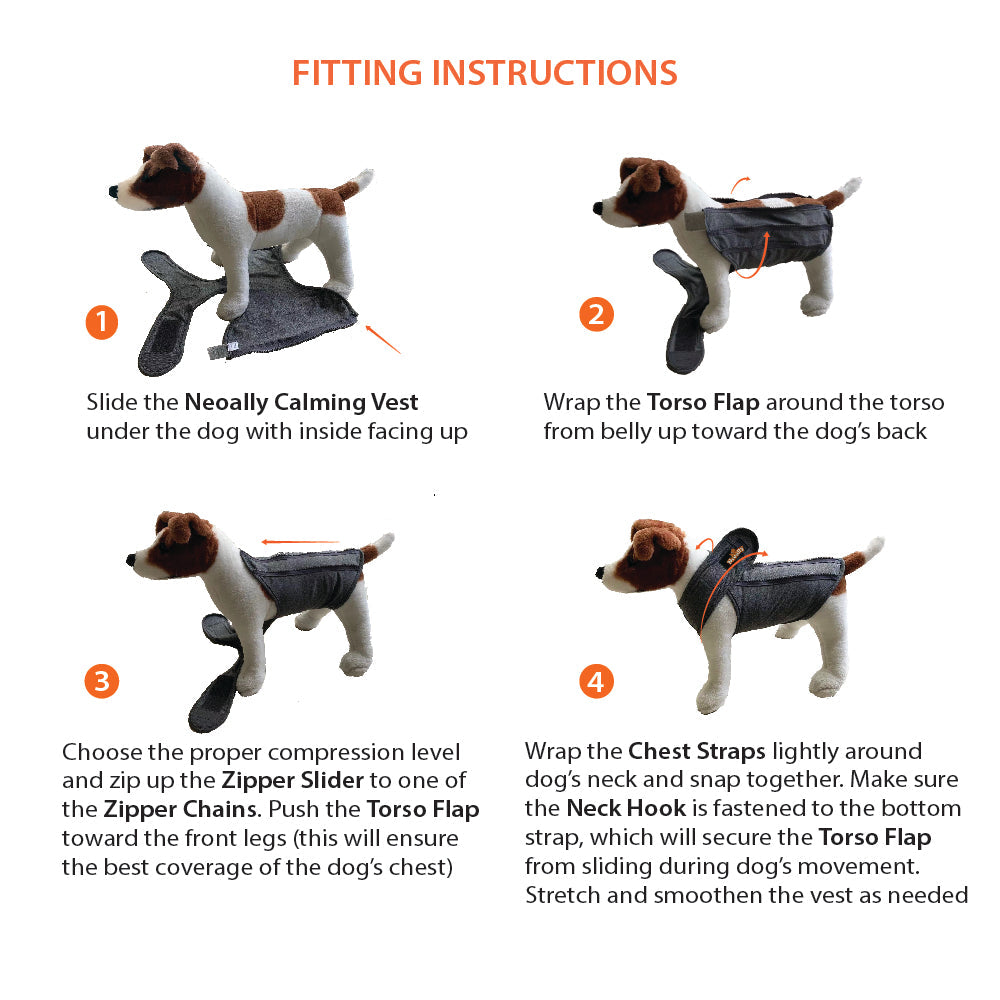 Step-by-step fitting instructions for a dog vest on a white background