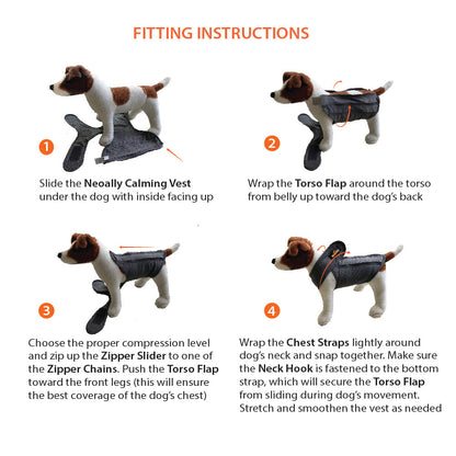 Step-by-step fitting instructions for a dog vest on a white background