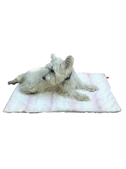 Small white dog lying on a pink blanket with a white background