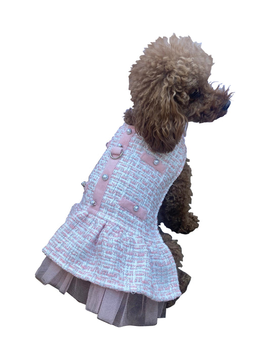 Dog wearing a light blue dress with pink accents on a white background