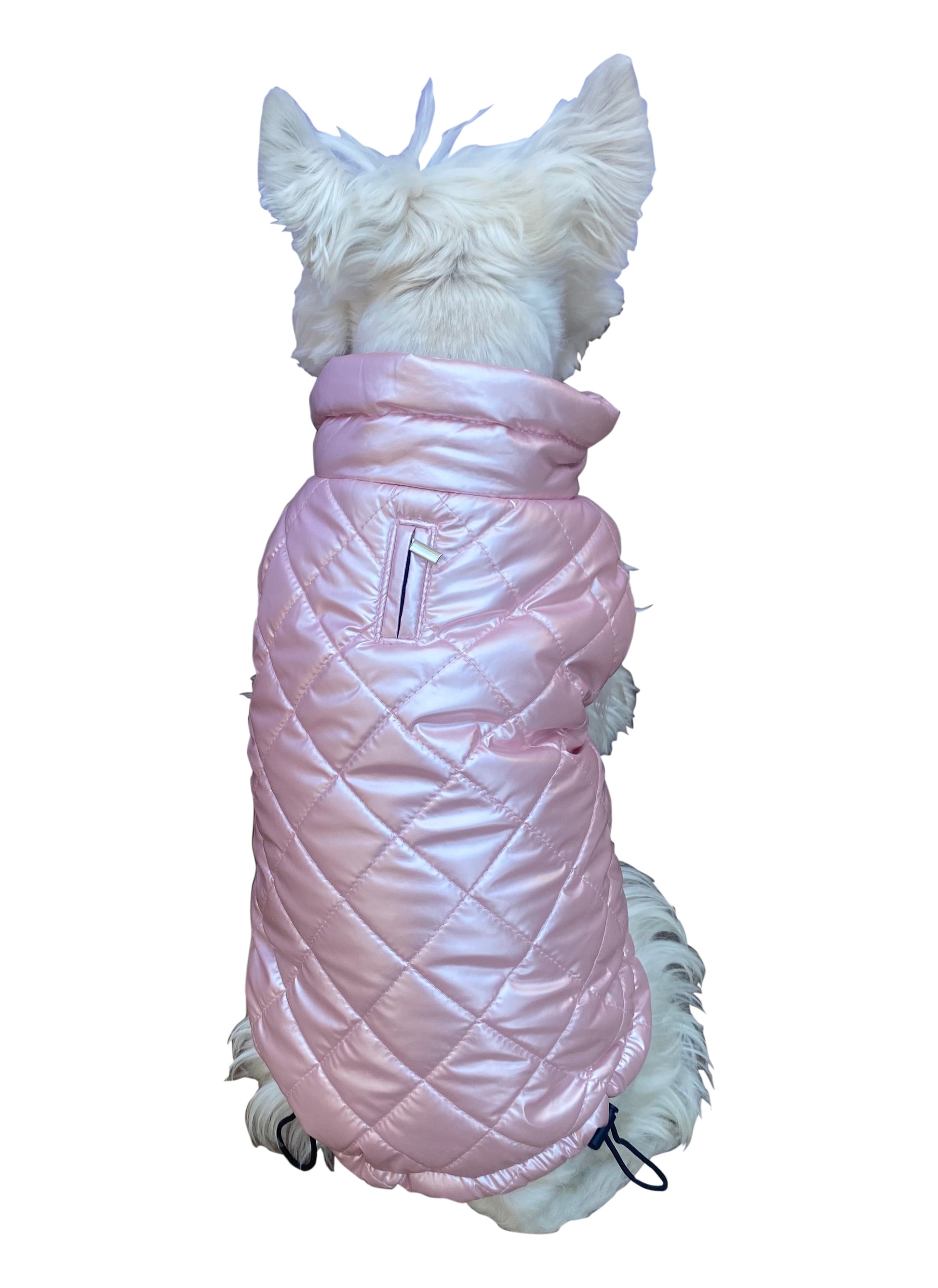 Dog wearing a pink quilted coat on a white background