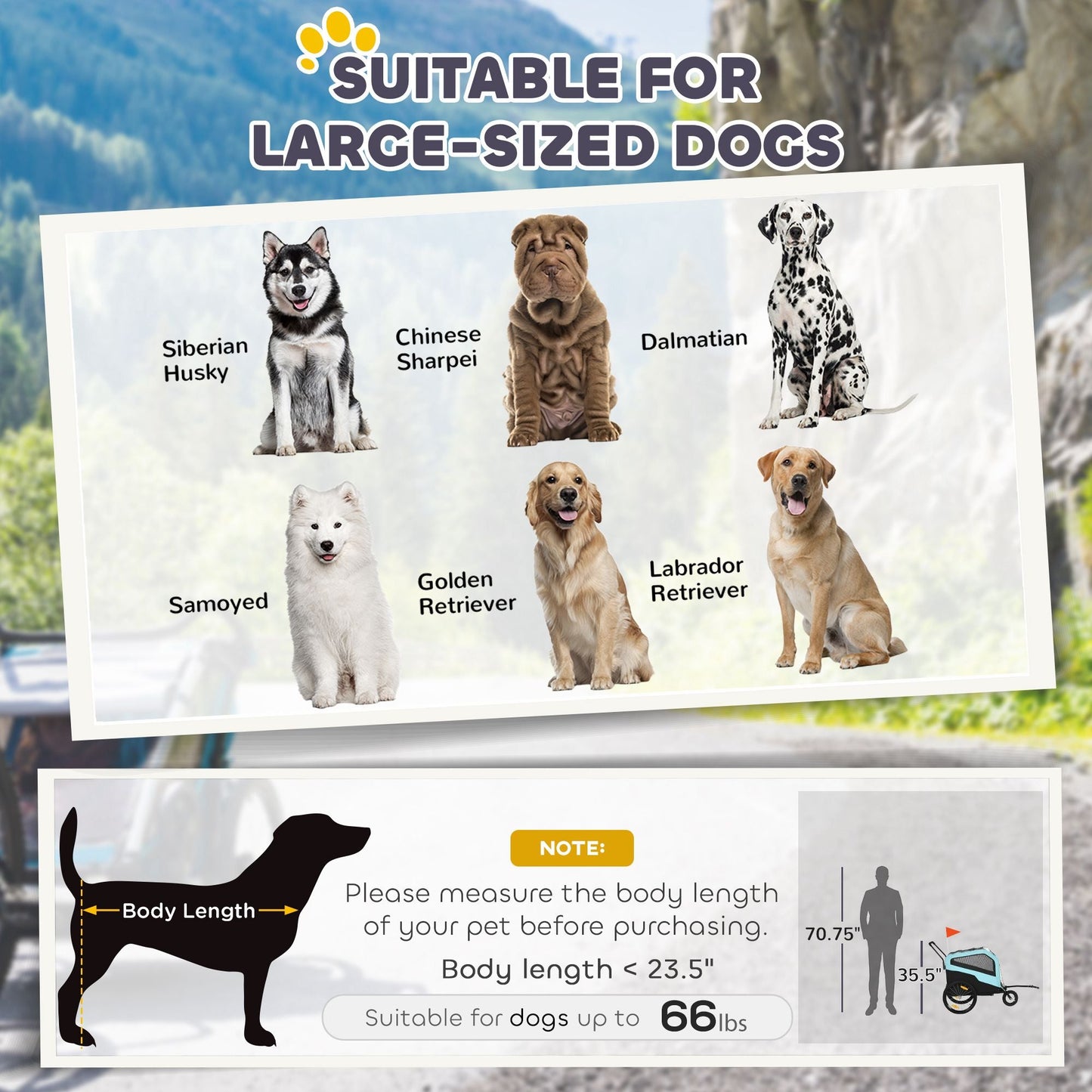 Product description for large-sized dog products with images of various breeds and measurement guide.