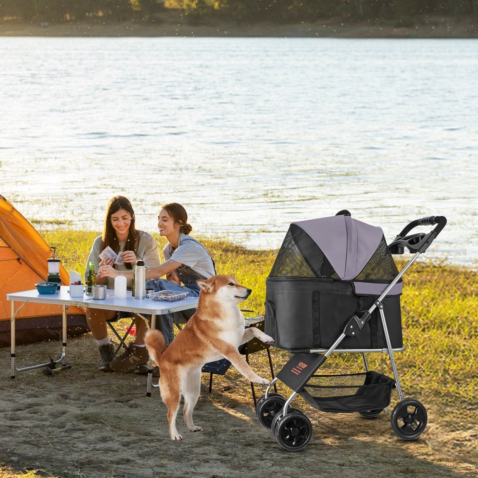 Two people with a dog by a lake, one of them using a pet stroller.