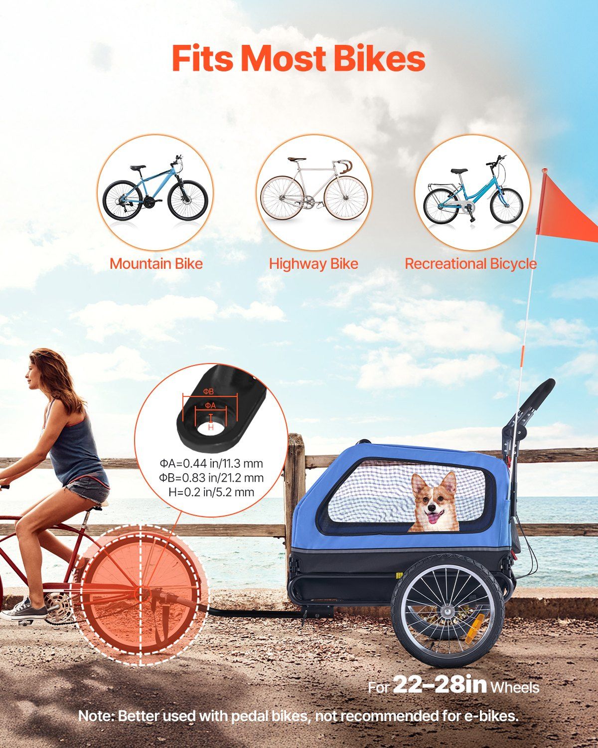 Pet bike trailer with a dog on a scenic background, suitable for various types of bikes.