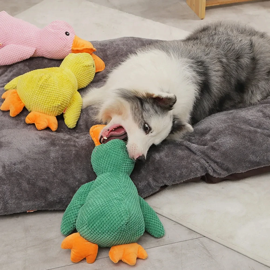 Dog playing with green and yellow duck-shaped toys on a gray cushion.