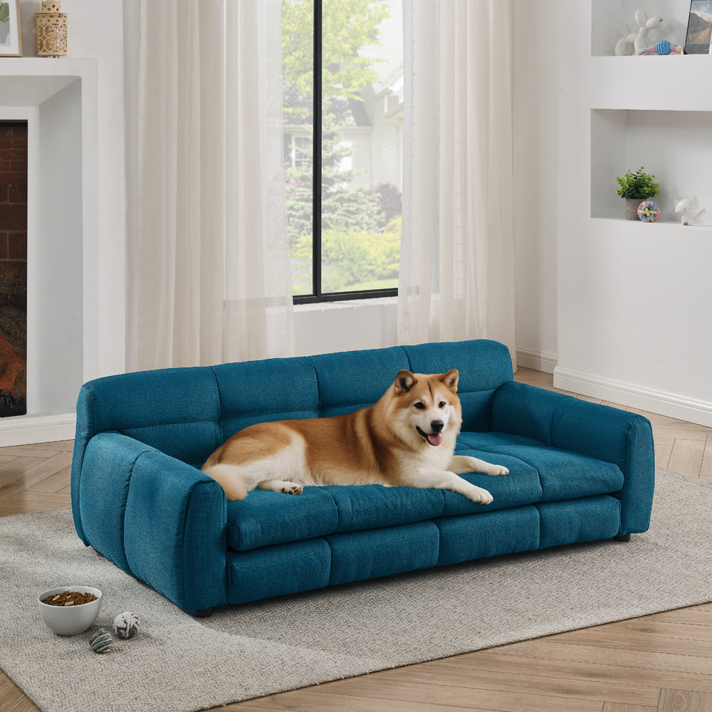 Dog lying on a blue sofa in a living room with large windows.