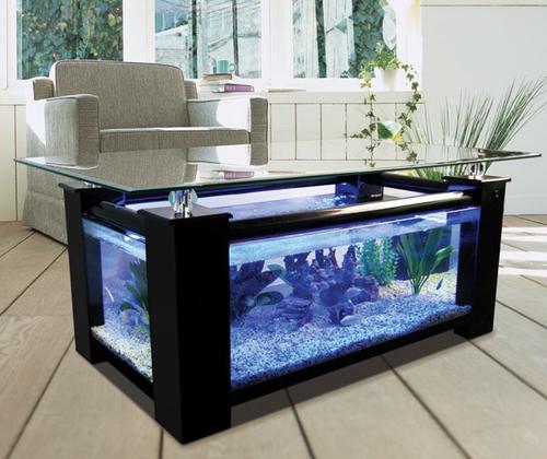 WARRANTY INCLUDED! 45 gallon GLASS rectangle table aquarium fish tank