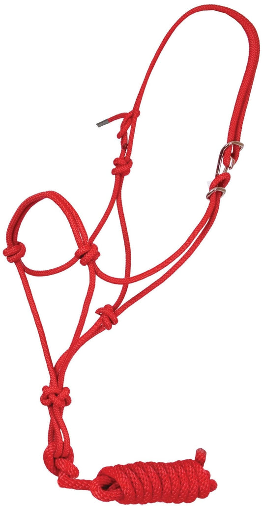 Red rope halter on a white background