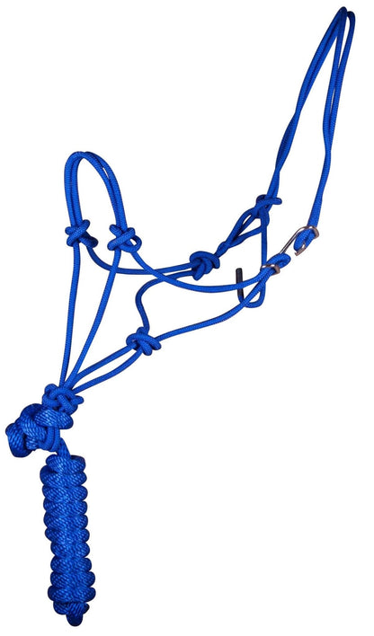 Blue rope halter on a white background