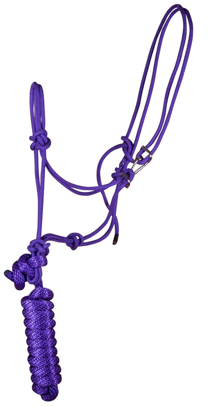 Purple horse bridle on a white background