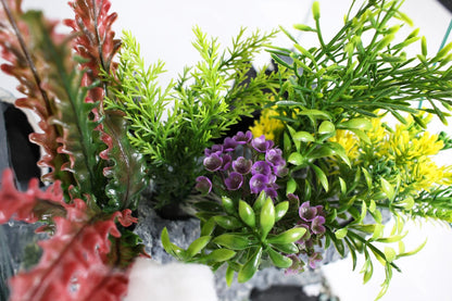 Close-up of a small plant with purple flowers and green leaves on a white background