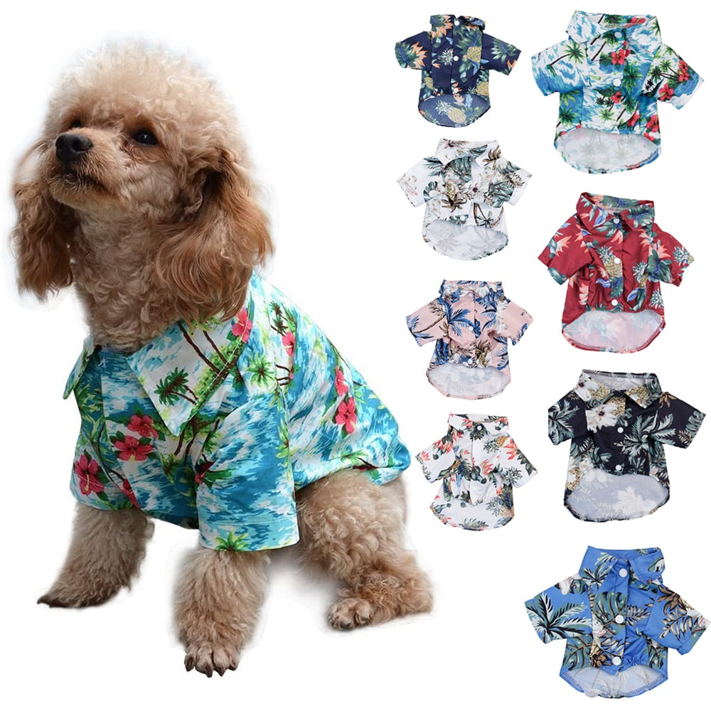 Dog wearing a floral shirt with various other floral shirts displayed on a white background