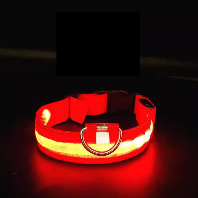 Red LED dog collar on a dark background