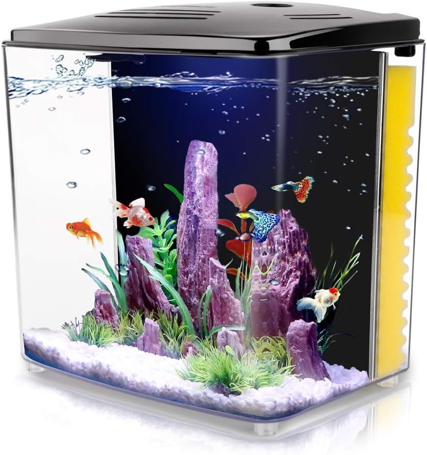 Small aquarium with rocks, plants, and fish on a white background
