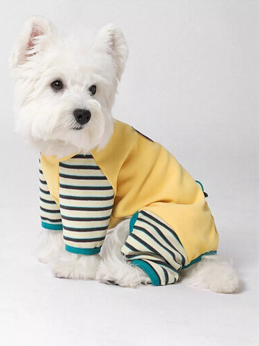White dog wearing a yellow and striped outfit on a light gray background