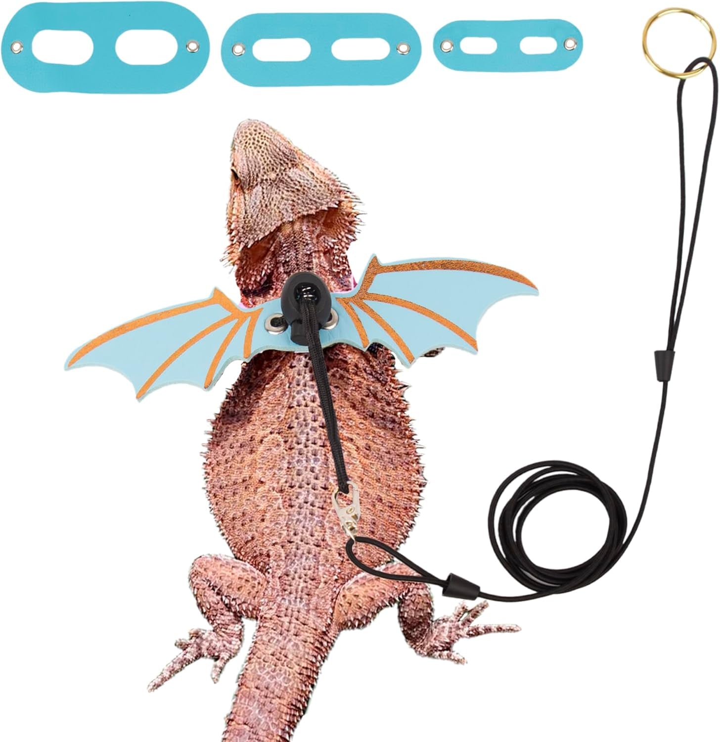 Lizard wearing a bat-themed headband with a leash on a white background