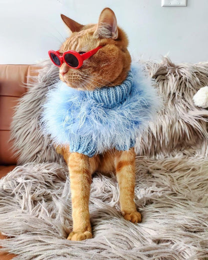 Cat wearing a blue sweater and red sunglasses on a fluffy surface