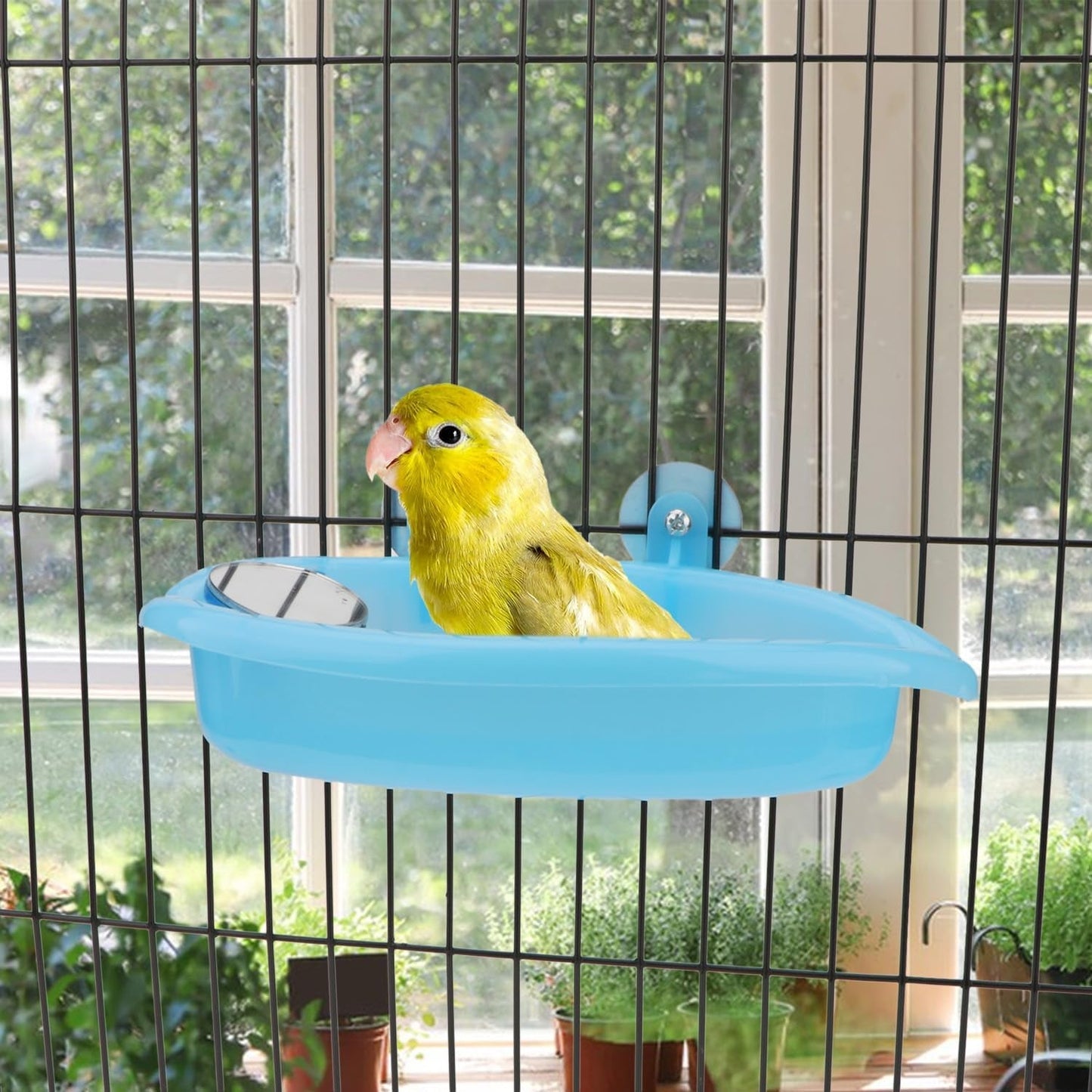 Bird perched on a blue platform inside a cage with greenery outside.