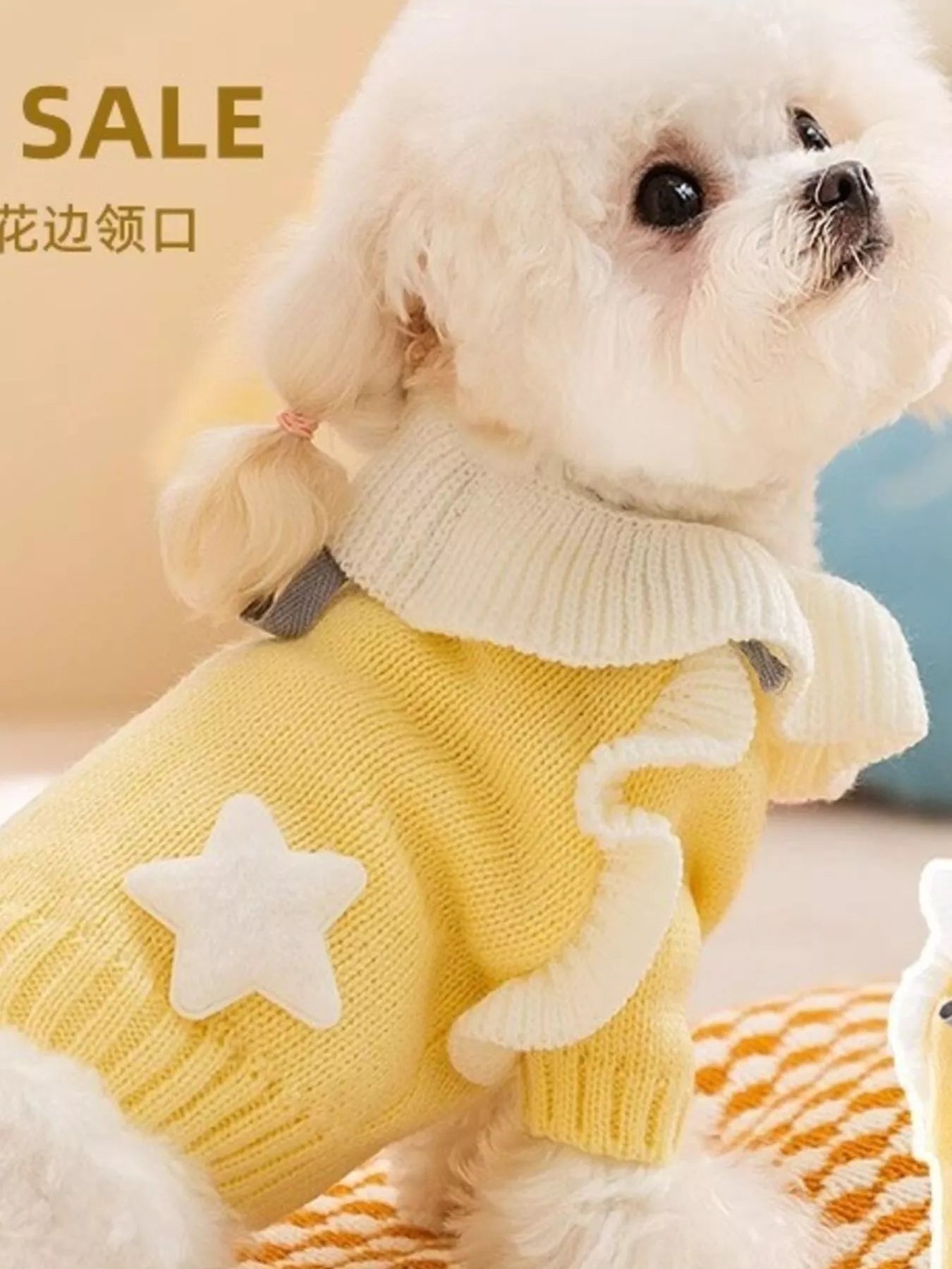 Small dog wearing a yellow sweater with star patterns, sitting on a light-colored surface.