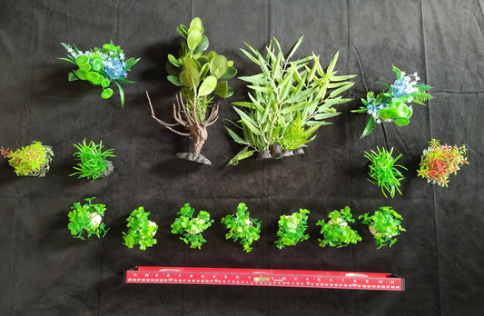 Assorted small green plants on a black background with a ruler for scale.