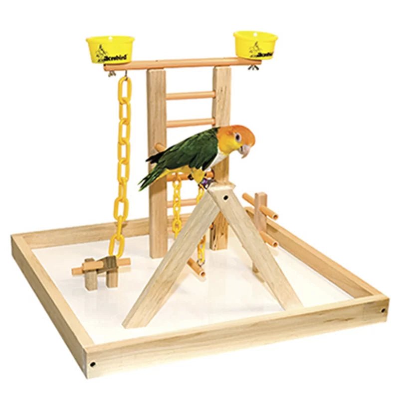Wooden bird playstand with a parrot on a white background