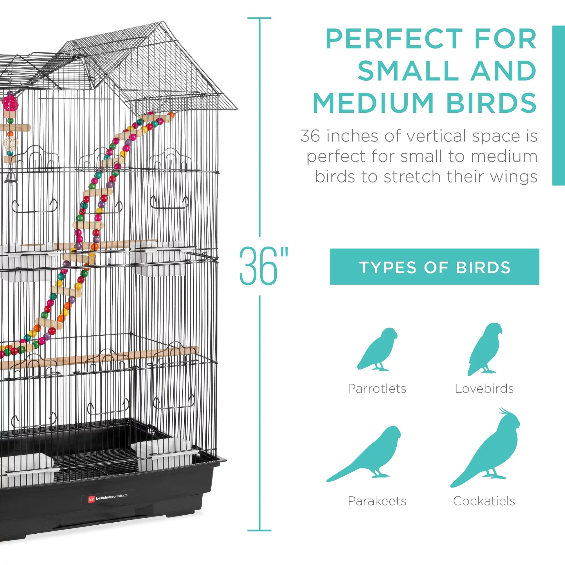 Bird cage with decorative elements and text about bird types and cage dimensions.