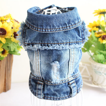 Denim pet outfit with floral background