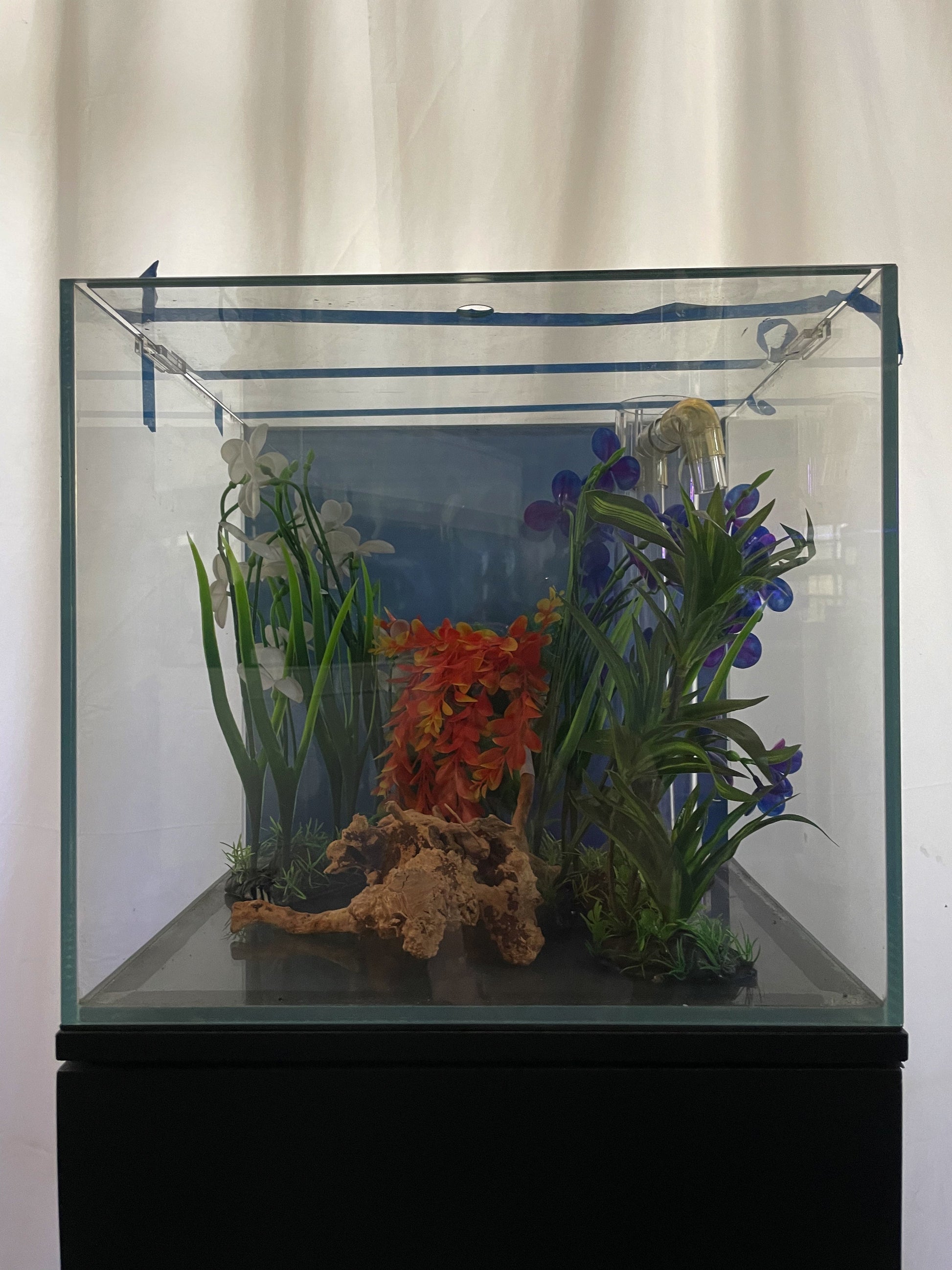 ULTRA CLEAR GLASS - 18 gallon cube fish tank aquarium full setup 