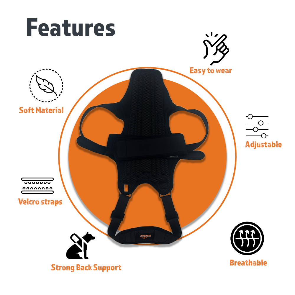 Black back support with features listed on an orange and white background