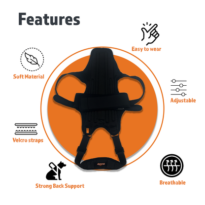 Black back support with features listed on an orange and white background