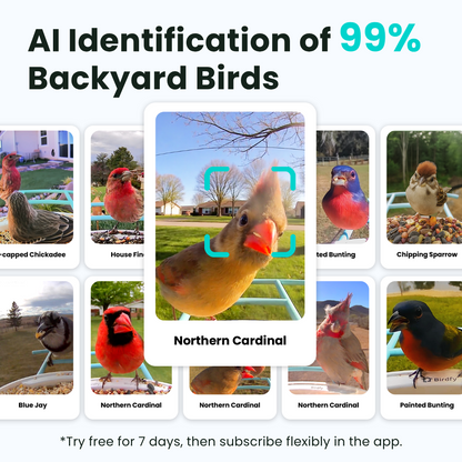 AI bird identification app with images of various birds and text indicating 99% accuracy.