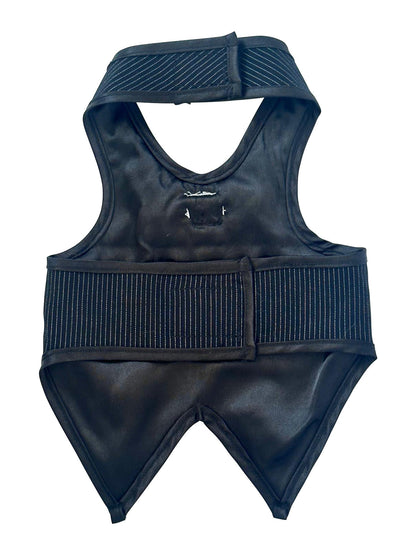 The Dogfather Pinstriped Doggie Tuxedo