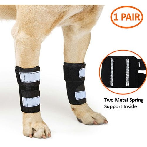 Dog leg wraps with metal spring support on a white background