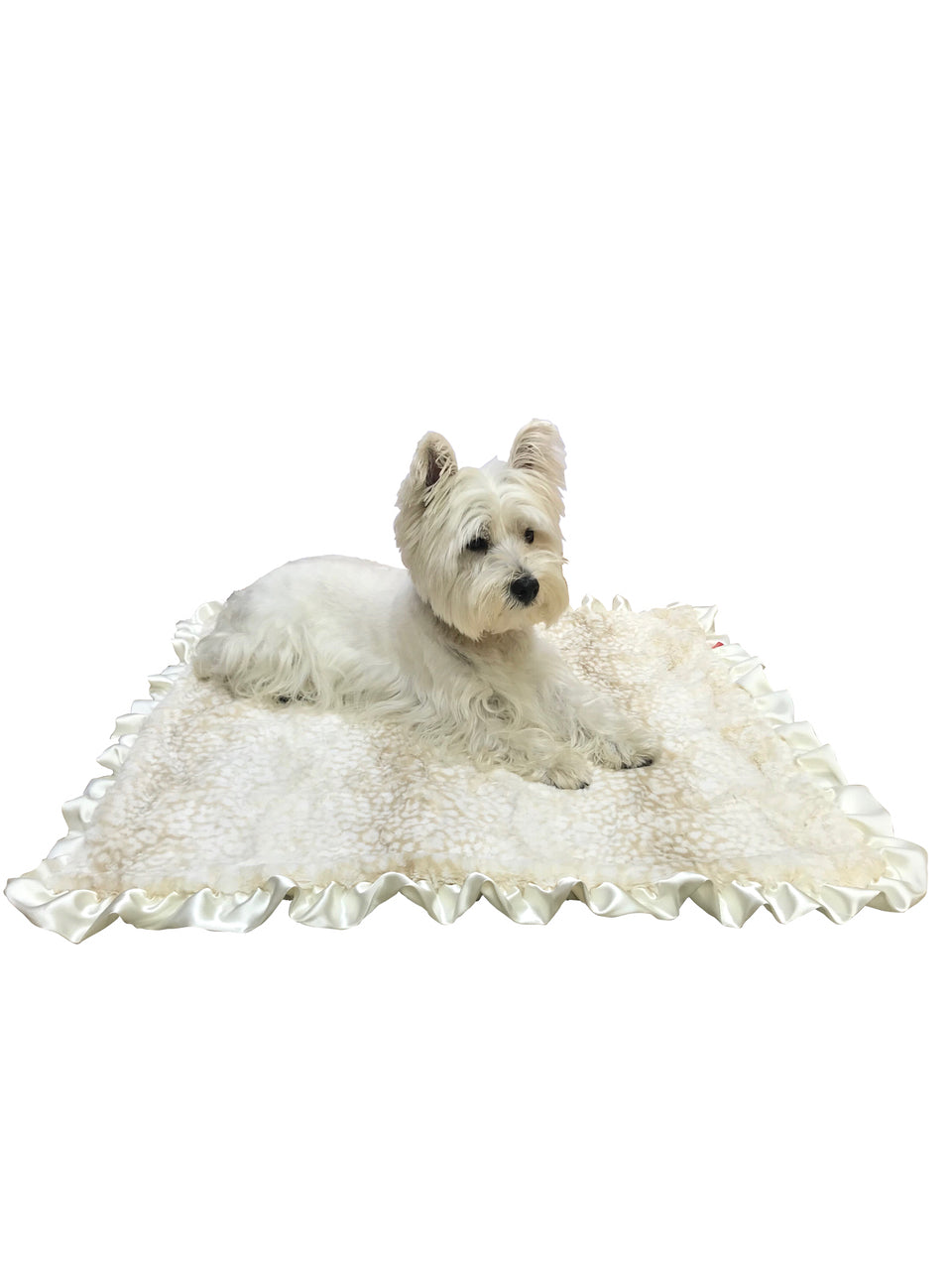 Dog lying on a white fluffy blanket against a white background