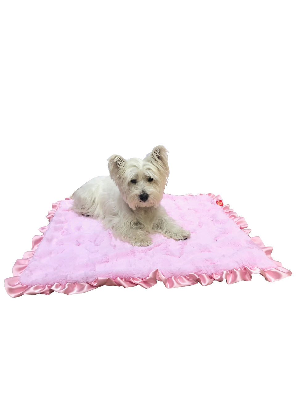 Small dog lying on a pink pet bed with ruffled edges against a white background