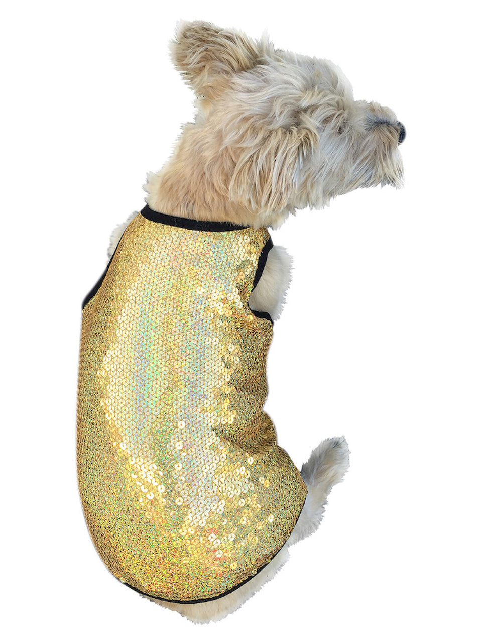 Dog wearing a gold sequin outfit on a white background