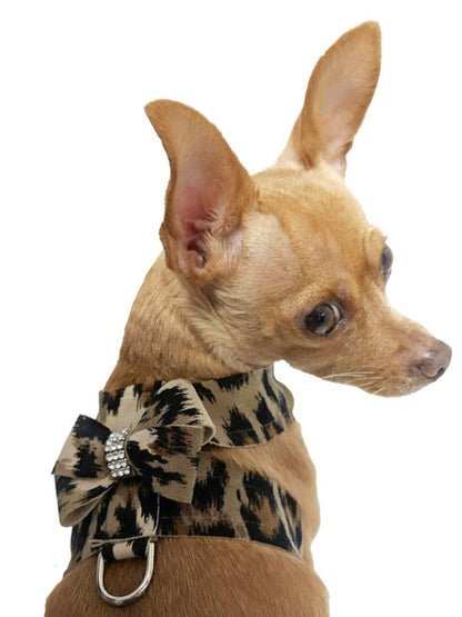 Small dog wearing a leopard print bow tie on a white background
