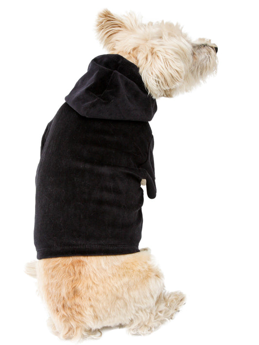 Dog wearing a black hoodie on a white background
