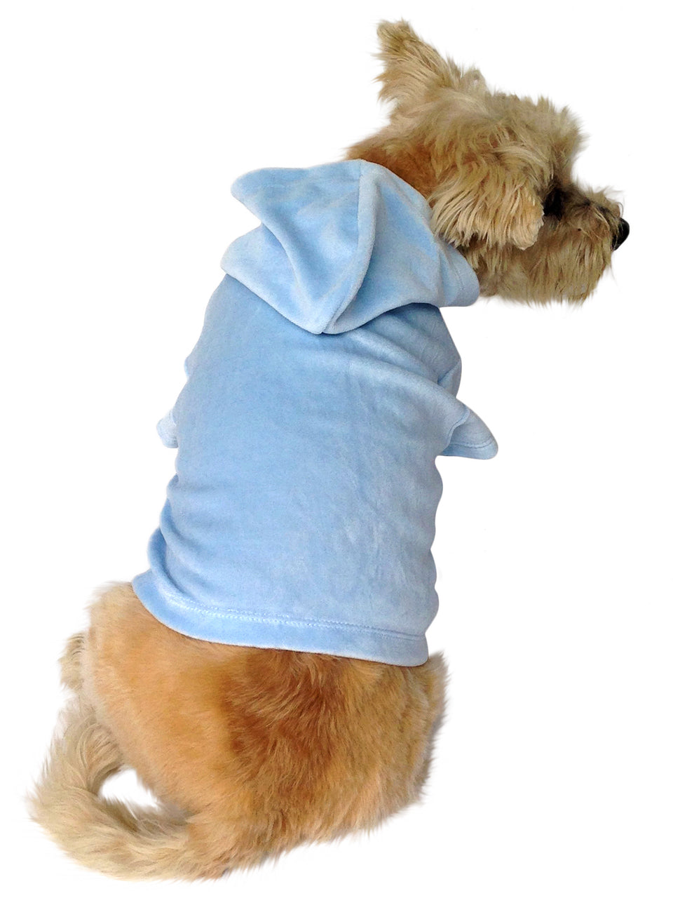 Dog wearing a light blue hoodie on a white background