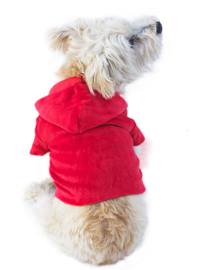 Dog wearing a red hoodie on a white background