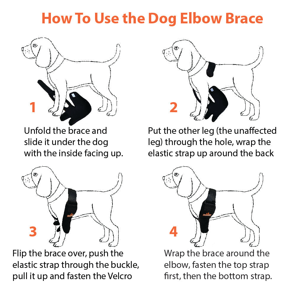 Instructions on how to use a dog elbow brace with illustrations of a dog wearing the brace.