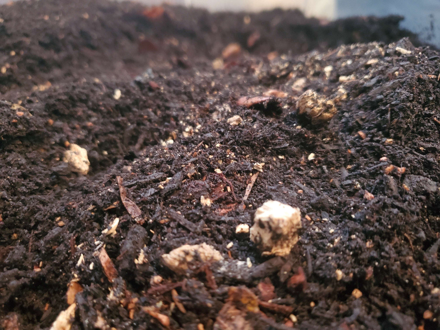 Premium Isopod Substrate