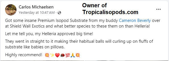 Premium Isopod Substrate