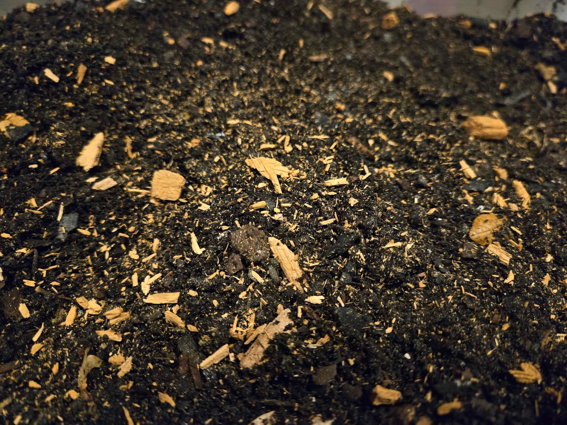 Premium Isopod Substrate