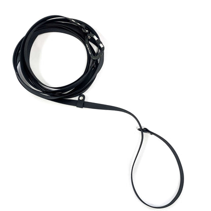 Black dog leash coiled on a white background