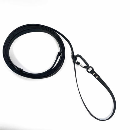 Black dog leash with a clip on a white background