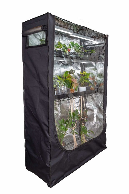 Black grow tent with plants inside on a white background